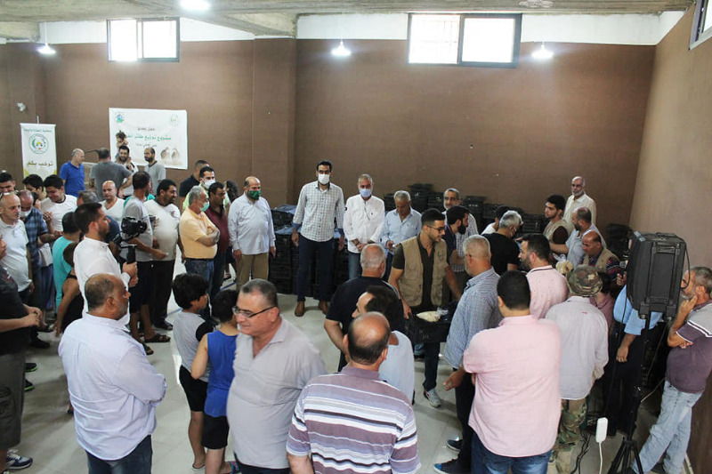 Depositphotos_3381924_original